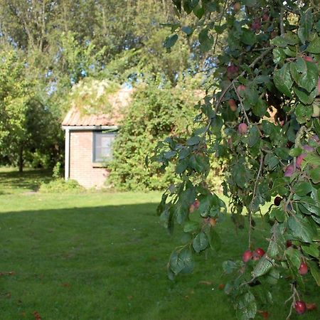 Vita Nova Hippolytushoef Exteriör bild