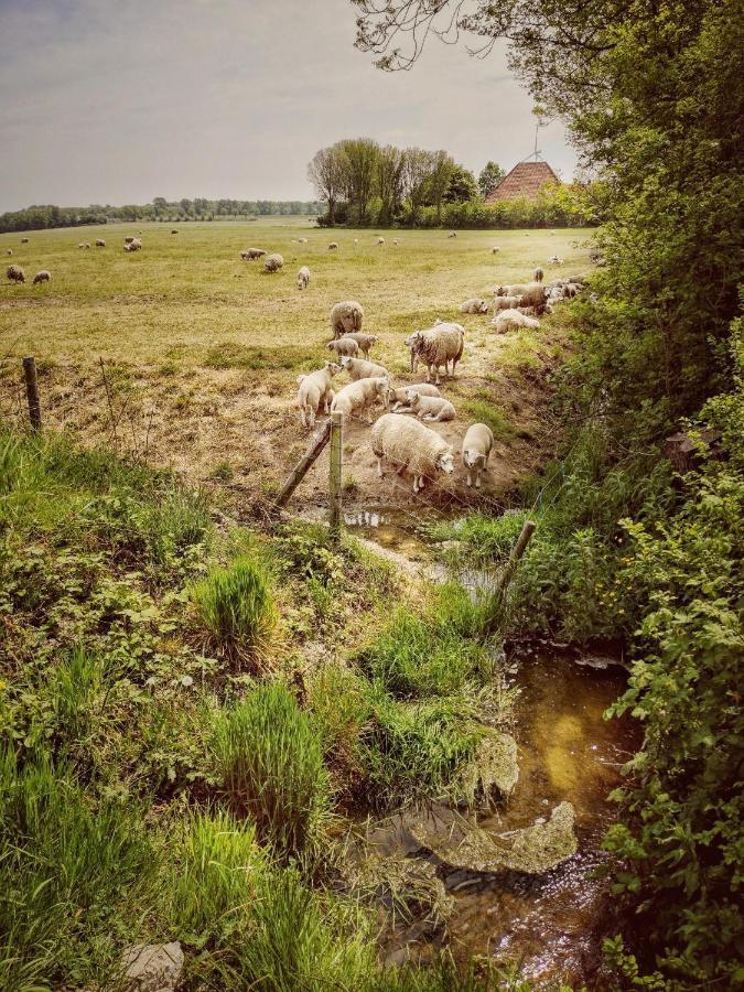 Vita Nova Hippolytushoef Exteriör bild